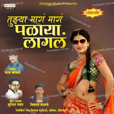 Tujhya Mag Mag Palaya Lagla - Vikas Salve album cover 