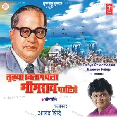 Tujhya Raktamadhala Bhimrao Pahije - Anand Shinde cover album