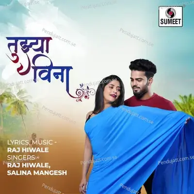 Tujhya Vina - Raj Hiwale album cover 