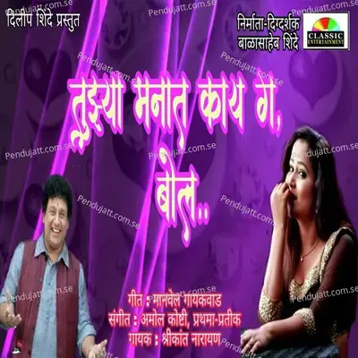 Tujya Manat Kay G Bol - Shrikant Narayan album cover 