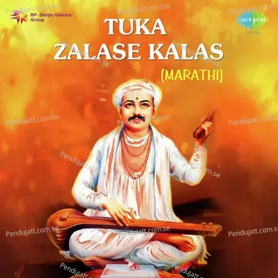 Aamhi Jato Amuchya Gava - Snehal Bhatkar album cover 