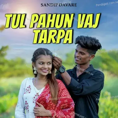 Tul Pahun Vaj Tarpa - Sandip Davare album cover 