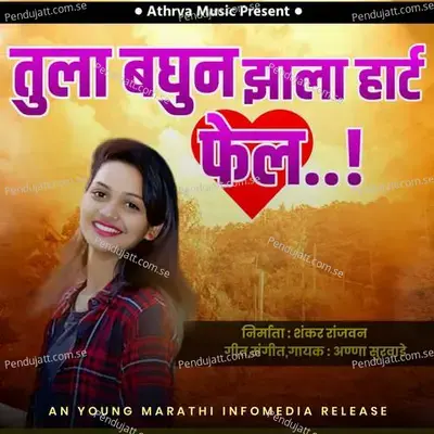 Tula Baghun Zala Heart Fail - Anna Surwade album cover 