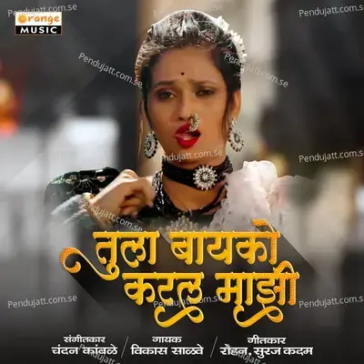 Tula Bayko Karal Mazi - Vikas Salve album cover 