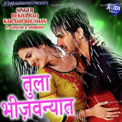 Tula Bhijavanyat - Rekha Rao album cover 