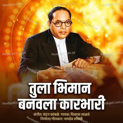 Tula Bhiman Banavla Karbhari - Vikas Salve album cover 