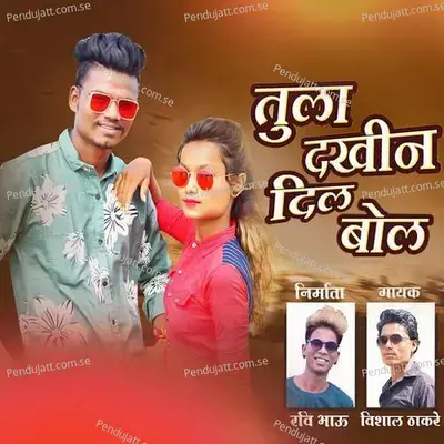 Tula Dakhina Dil Bol - Vishal Thakare album cover 