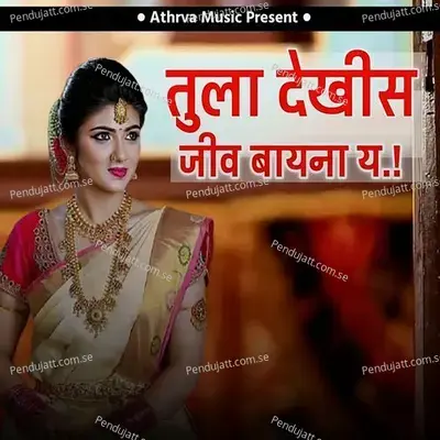 Tula Dekhis Jiv Bayana Ya - Anna Surwade album cover 