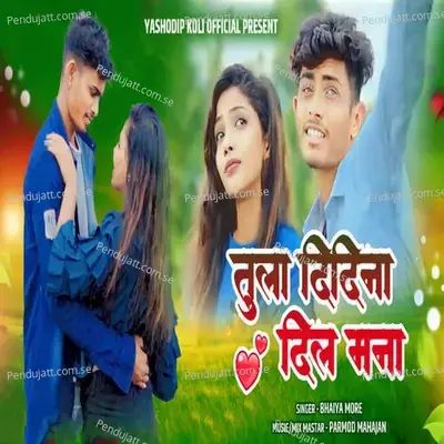 Tula Didina Dil Mana - Bhaiya More album cover 