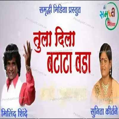 Tula Dila Batata Vada - Milind Shinde album cover 