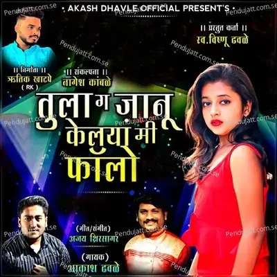 Tula Ga Janu Kelaya Mi Falo - Akash Dhavle album cover 