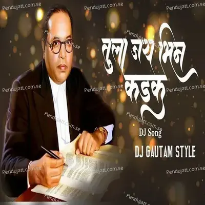Tula Jay Bhim Kadak - Madhuur Shinde album cover 