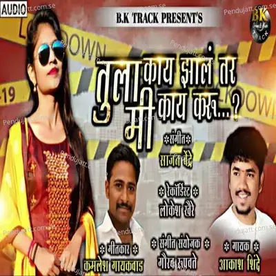 Tula Kaay Zhal Tar Mi Kaay Karu - Akash Shinde album cover 