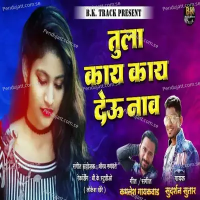 Tula Kay Kay Deu Naav - Sudarshan Sutar album cover 