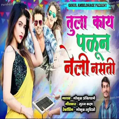 Tula Kay Palun Neli Nasati - Gokul Ambildhage album cover 