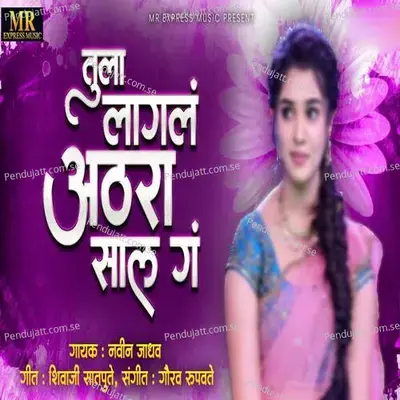 Tula Lagal Athara Sal Ga - Navin Jadhav album cover 