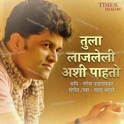 Tula Lajaleli Ashi Pahato - Mandar Apte album cover 