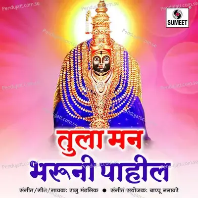 Tula Man Bharuni Pahila - Raju Mandlik album cover 