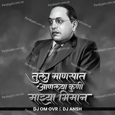 Tula Manasat Anlaya Kuni Majhya Bhiman - Vaibhav Khune album cover 