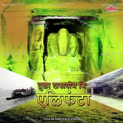 Hya Tarun Porivar Mhatara Martoy - Kavita Shinde album cover 