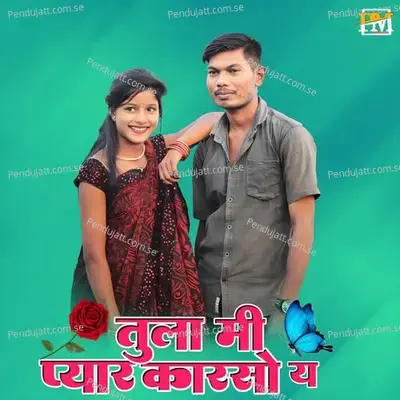 Tula Mi Pyar Karaso Y - Raju Wagh album cover 