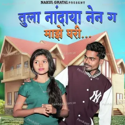 Tula Nandaya Nen G Maze Ghari - Roshan Ravte album cover 