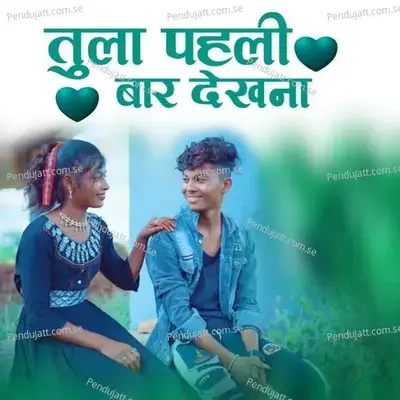 Tula Pahli Bar Dekhna - Raju cal mein album cover 