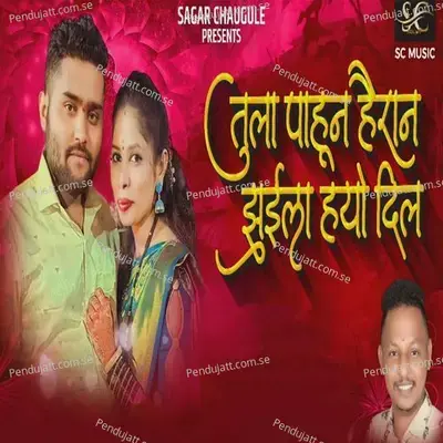 Tula Pahun Hairan Jhuila Hyo Dil - Sagar Chaughule album cover 