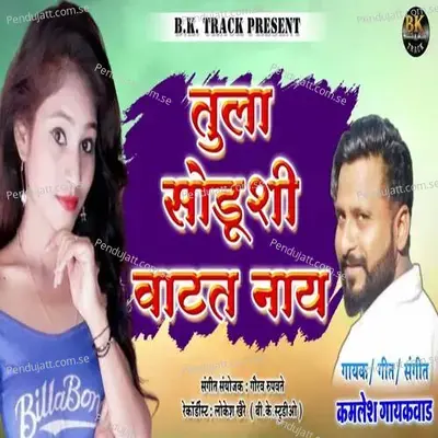 Tula Sodushi Vatat Naay - Kamlesh Gaikwad album cover 