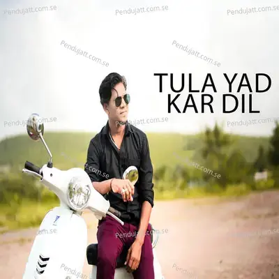 Tula Yad Kar Dil - Bhaiya More album cover 