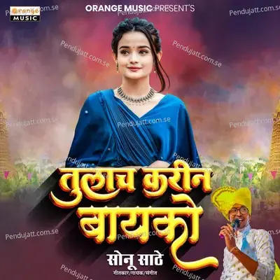 Tulach Karin Bayko - Sonu Sathe album cover 