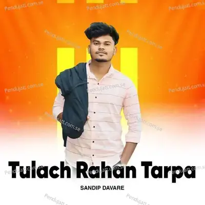 Tulach Rahan Tarpa - Sandip Davare album cover 