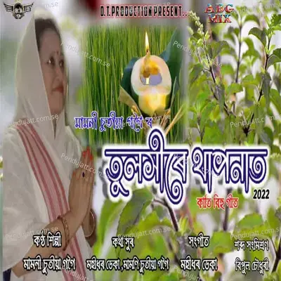 Tulakhire Taponat 2022 - Mamoni Chutia Gogoi album cover 