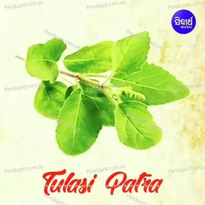 Tulasi Patrare Radha Lekhithila - Amit Tripathy album cover 