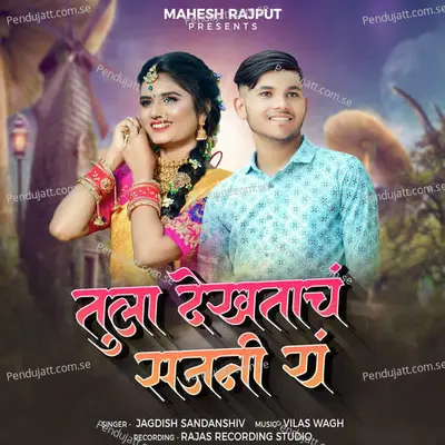 Tule Dekhtach Sajani Ye - Jagdish Sandanshiv album cover 