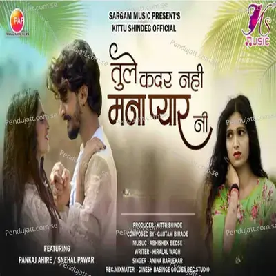 Tule Kadar Nahi Mana Pyar Ni  Feat  Pankaj Ahire Snehal Pawar - Anjna Barlekar album cover 