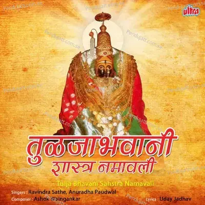 Udo Bola Udo Ambabai Maulicha Ho - Anuradha Paudwal album cover 