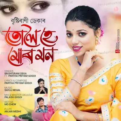 Tuloi Ha Mur Mon - Brishtirani Deka album cover 