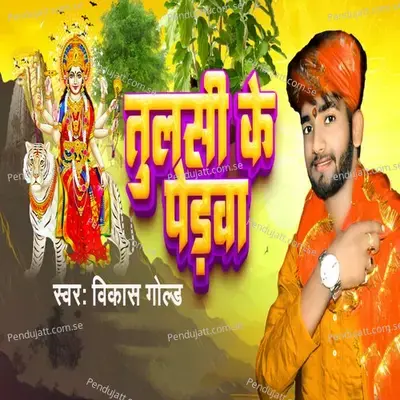 Tulsi Ke Perwa - Vikash Gold album cover 