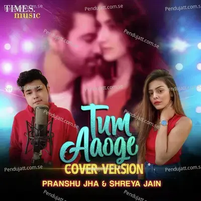 Tum Aaoge - Cover Version - Pranshu Jha album cover 