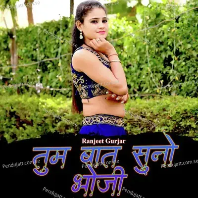 Tum Baat Suno Bhoji - Ranjeet Gurjar