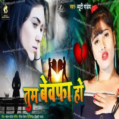 Tum Bewafa Ho - Beauty Pandey album cover 