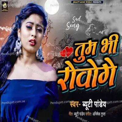 Tum Bhi Rowoge - Beauty Pandey album cover 