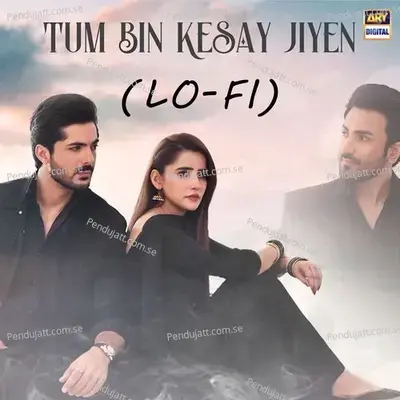 Tum Bin Keysy Jiyen - Raafay Israr album cover 