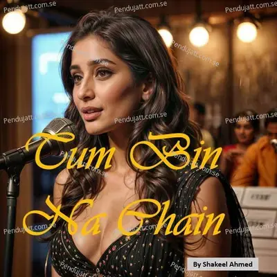 Tum Bin Na Chain - Shakeel Ahmed album cover 