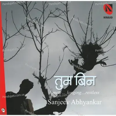 Sej Sadaa Jare  Amp  Garaj Badarava - Raag Malkauns - Pandit Sanjeev Abhyankar album cover 