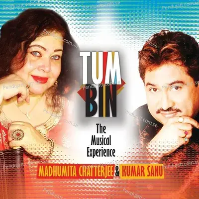 Tum Bin - Madhumita Chatterjee album cover 