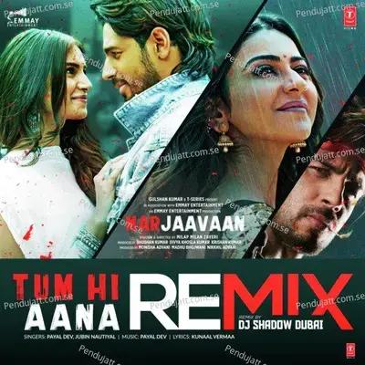 Tum Hi Aana Remix - Payal Dev album cover 