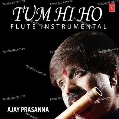 Tum Hi Ho - Flute Instrumental - Mithoon album cover 