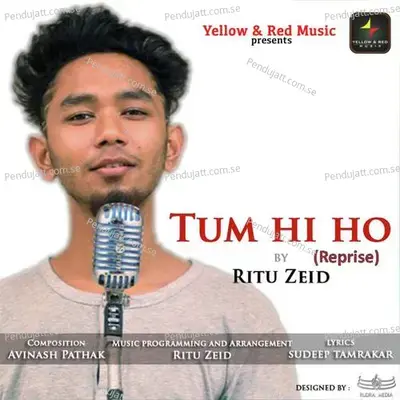 Tum Hi Ho  Reprise  - Ritu Zeid